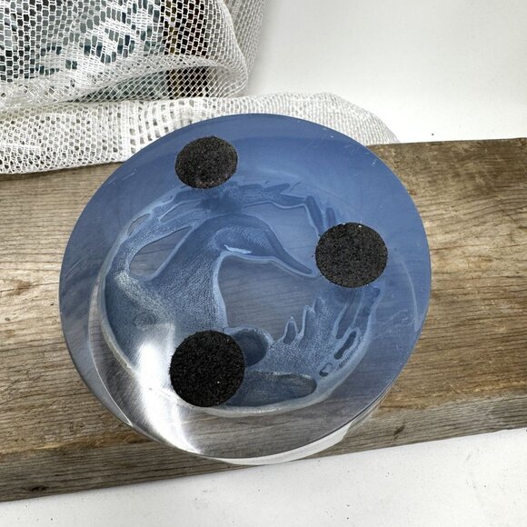 Vintage 3D Lucite Sculpture Duck Family Oval Paperweight Collectible Table Decor - Picture 7 of 10